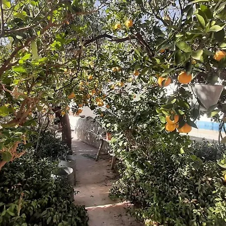 Cortijo Ferre, A Los Pies Del Castillo La Atalaya De Nijar Exterior photo