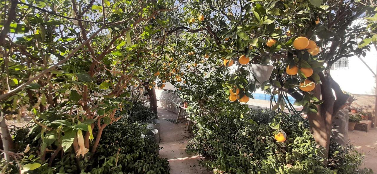 Cortijo Ferre, A Pies Del Castillo La Atalaya De Holiday home *